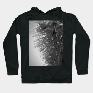 Brush-like blossom Hoodie